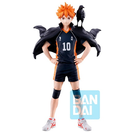 SHOYO HINATA (THE FUTURE OF KARASUNO) (16 cm) - Figuren