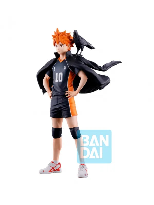 SHOYO HINATA (THE FUTURE OF KARASUNO) (16 cm) - Figuren